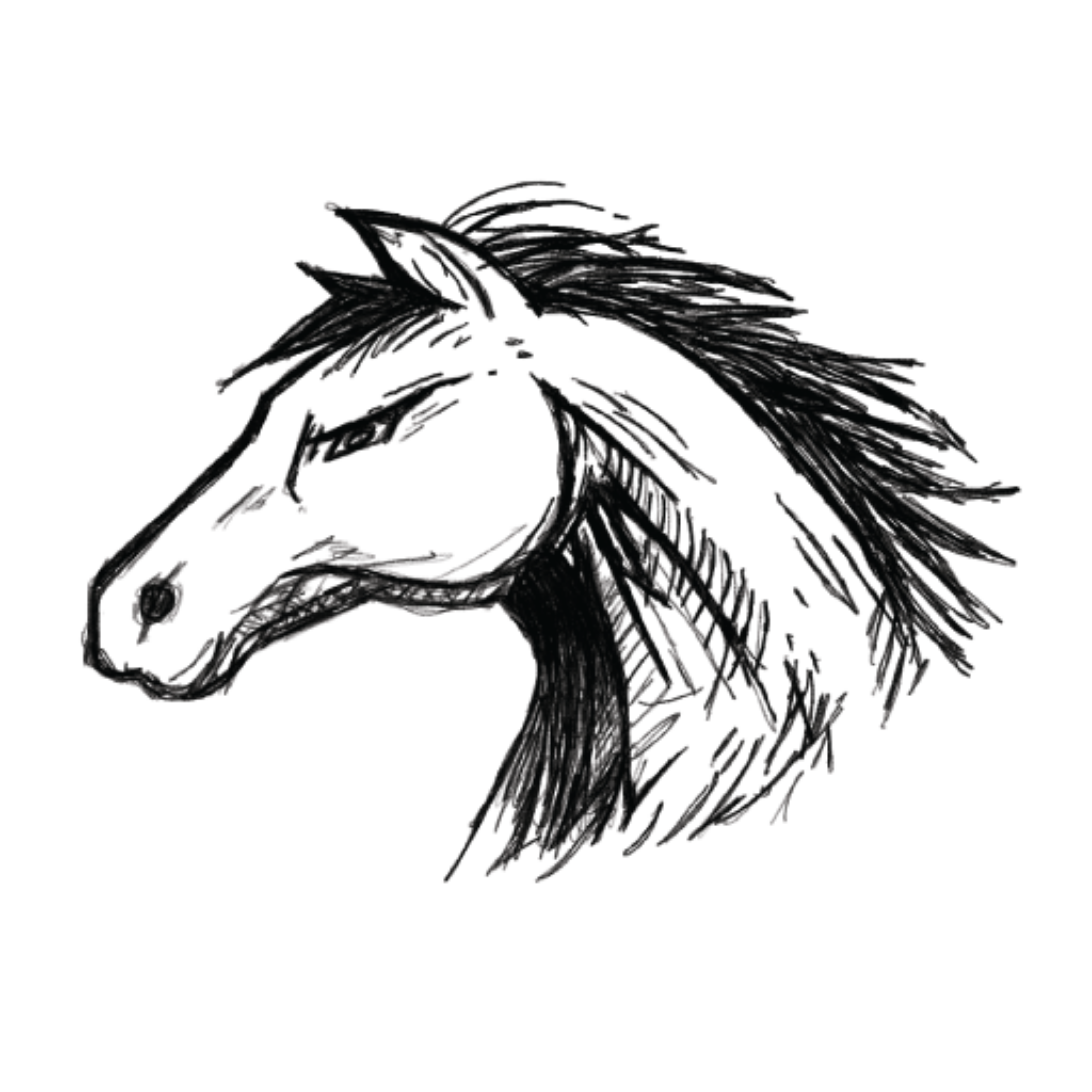 UCD Gunrock Mascot