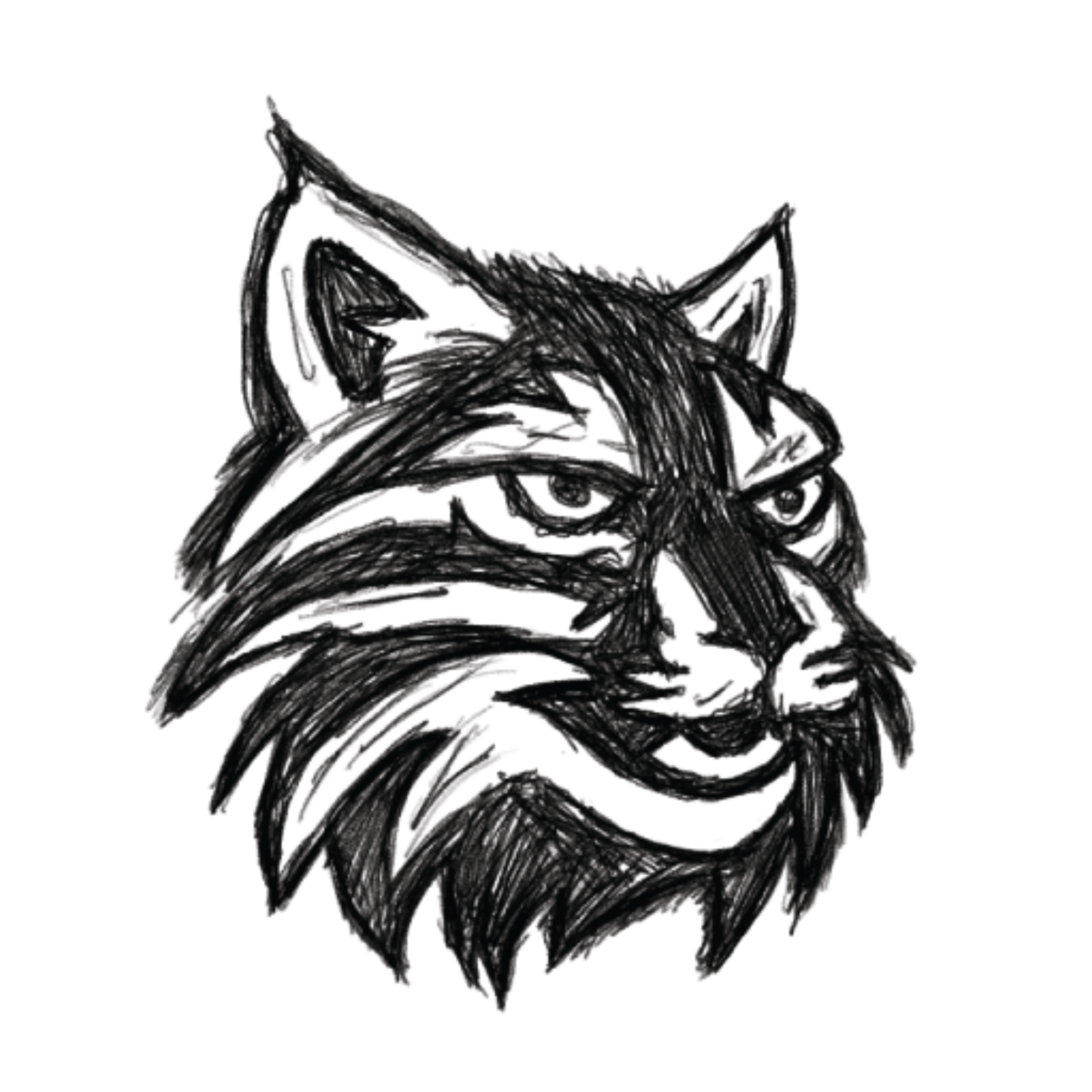 UCM Bobcat Mascot